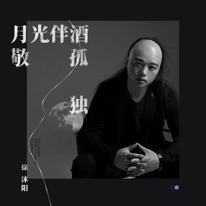 月光伴酒敬孤独 (男声扎心版)