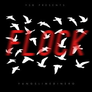 Flock (Explicit)