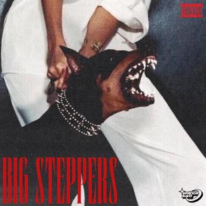 BIG STEPPERS (feat. Bhavy4) [Explicit]