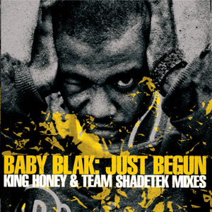 Just Begun: King Honey and Team Shadetek Mixes EP