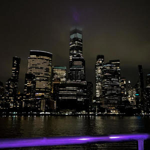 the night we met (feat. Fridamy)