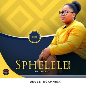 Sphelele Ndinisa _ Ukube Ngamnika (feat.  Mlilo)