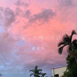 今夜 只想 与你