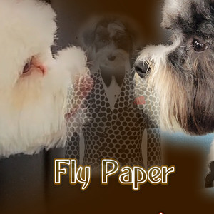 Fly Paper