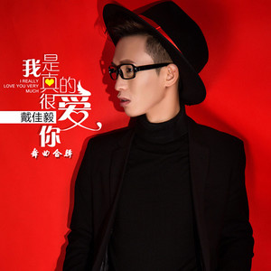 我是真的很爱你 (DJ阿远版)