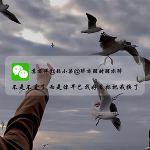 哦呐呐呐呐 (Remix)