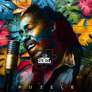 Puzzle (Explicit)