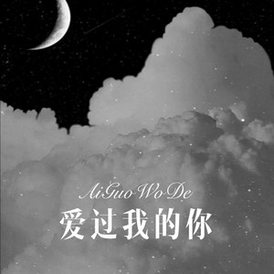 爱过我的你 (Remix)封面