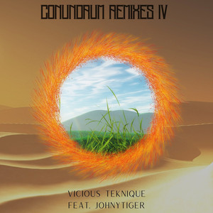 Conundrum Remixes IV (Explicit)