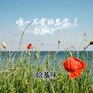 唯一不变的思念 (伴奏)