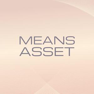 Means Asset