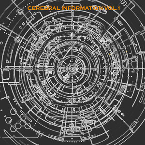 Cerebral Information, Vol. 1