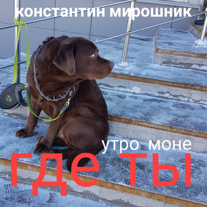 Ты где