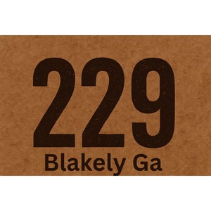 229 (Blakely Ga) [feat. Ac'cel & Manikan Fly]