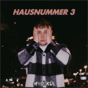Hausnummer 3