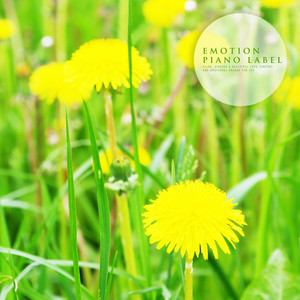 아름다운 하루 (A Beautiful Day)