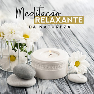 Meditação Relaxante da Natureza: Equilíbrio Interno, Mente Calma, Harmonia Profunda, Redução de Estresse, Sons Espirituais, Meditação Relaxante, Sons da Natureza, Paz Tranquila