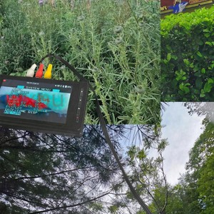 After menu (Explicit)