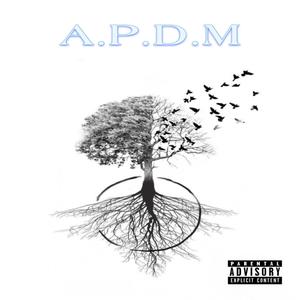 A.P.D.M (Explicit)