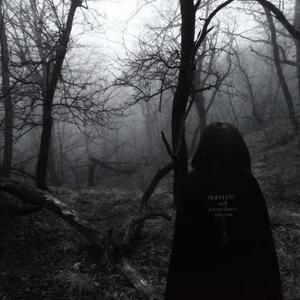 Forest.mp3 (feat. Mimofr)