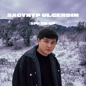 Sagynyp Ulgerdim (Speed up)