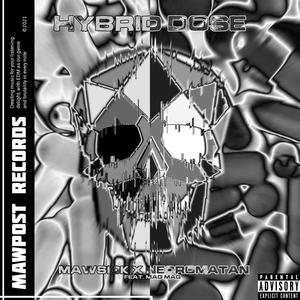 Hybrid Dose (feat. Mag Mag) [Explicit]