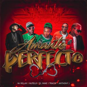 Amante Perfecto (feat. Nutelo Fresh, Anthony J, Mr Relax & Trac3y) (Explicit)