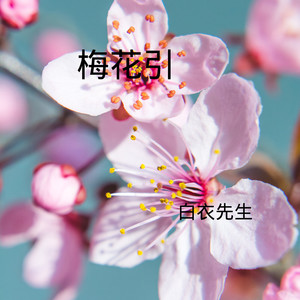 妹妹背着洋娃娃