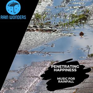 Penetrating Happiness - Music For Rainfall