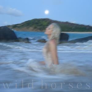 Wild Horses (unfinished)