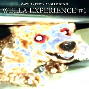 WELLA EXPERIENCE #1 (feat. Apollo Kid G)