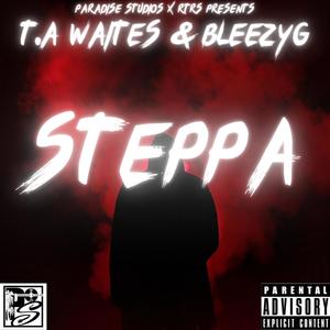 Steppa (feat. BleezyG) (Explicit)