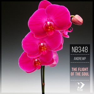 The Flight of the Soul (Original Mix)