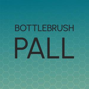 Bottlebrush Pall
