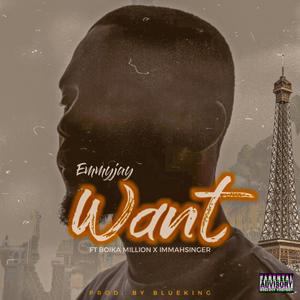 WANT (feat. Boika Million & Immahsinger)