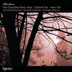 Brahms: Clarinet Trio in A Minor, Op. 114 - III. Andantino grazioso