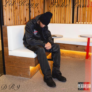 Fake Love (Explicit)