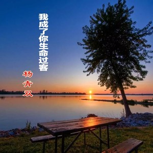 我成了你生命过客 (Demo)