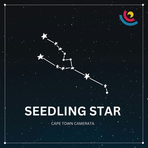 Seedling Star