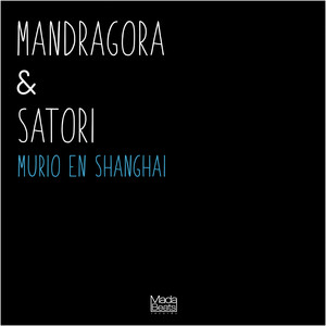 Murio en Shangai (Original Mix)