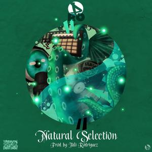 Natural Selection (Explicit)