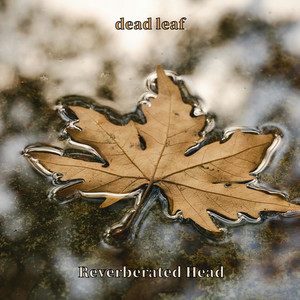 dead leaf