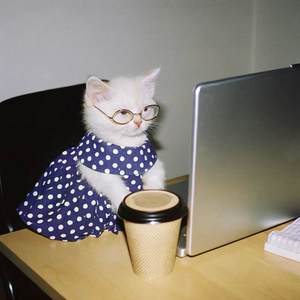 忘不掉你带给我的吻