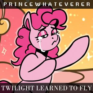 Twilight Learned to Fly(feat. ShadyVox)