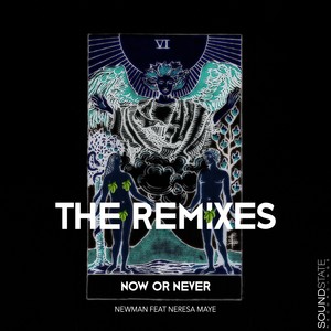 Now or Never - The Remixes