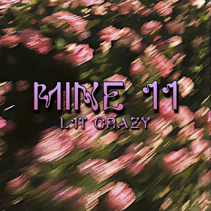 Mine 11