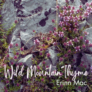 Wild Mountain Thyme