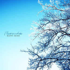 하얗게 물들다 (Float in white)