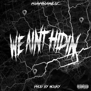 We Ain't Hidin (Explicit)