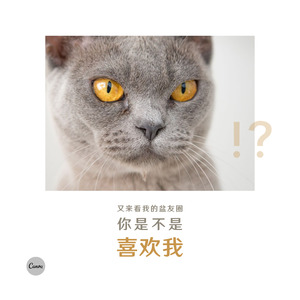 百大